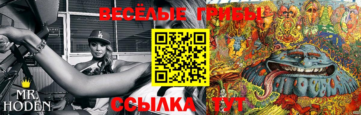 Псилоцибиновые грибы Psilocybe  Вход с VPN  Лениногорск 